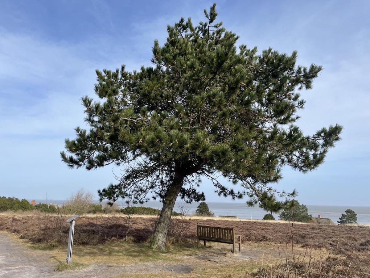 Duenenrose Leilighet Sylt Eksteriør bilde